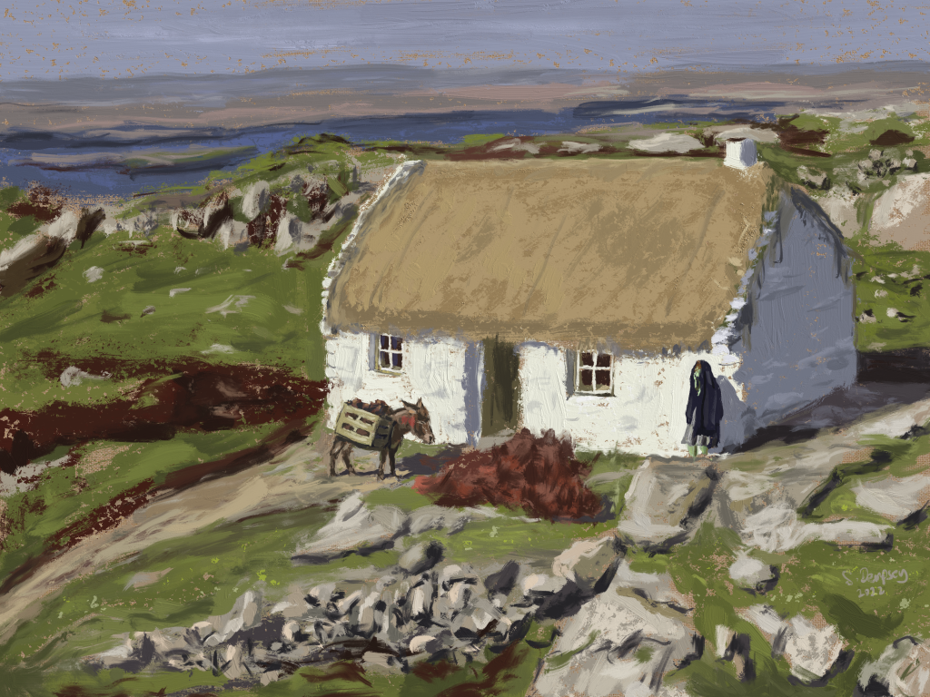 The Making of an Irish Landscape